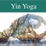 Yin Yoga - Taller intensivo