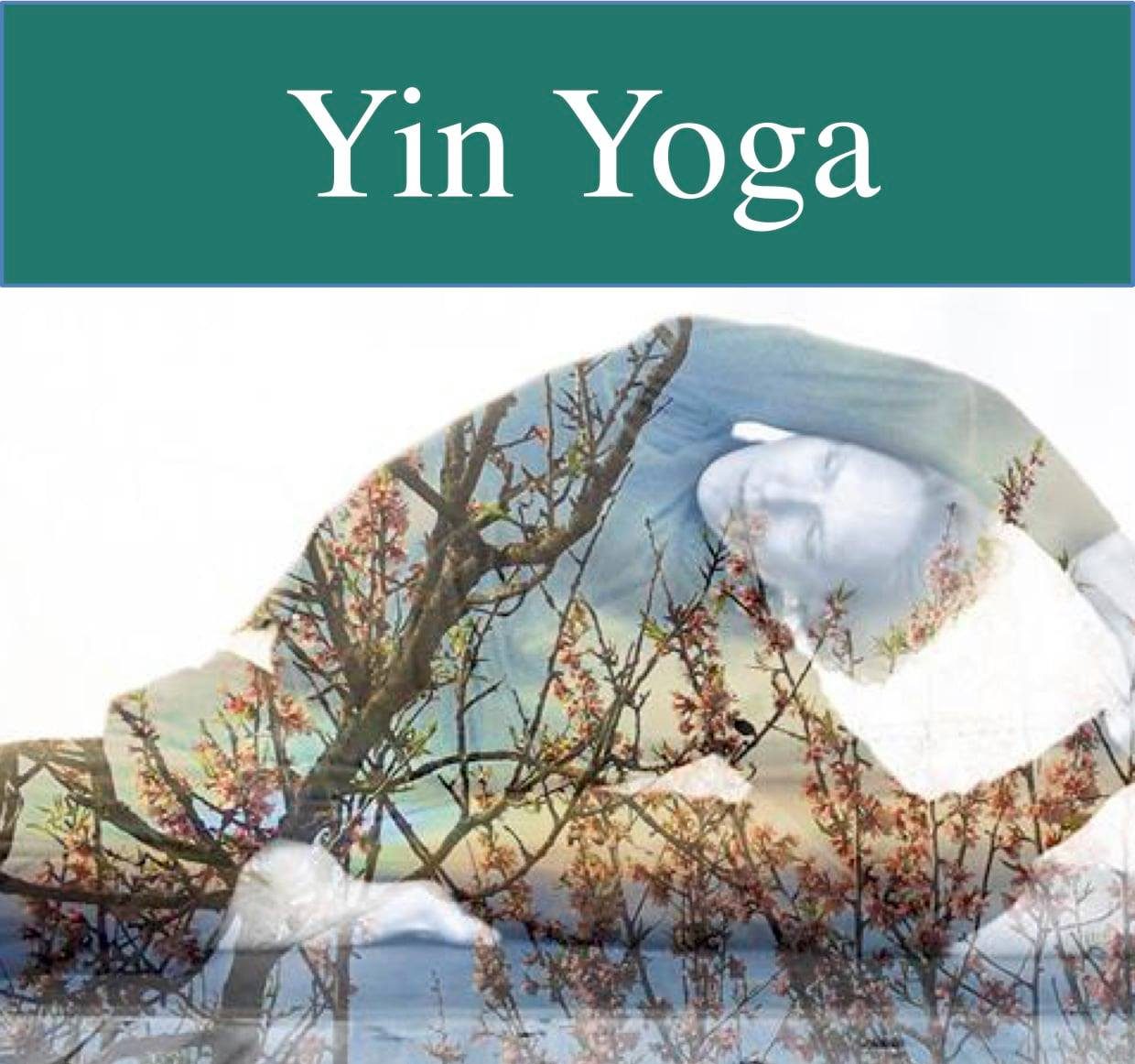 Yin Yoga - Práctica y Formación