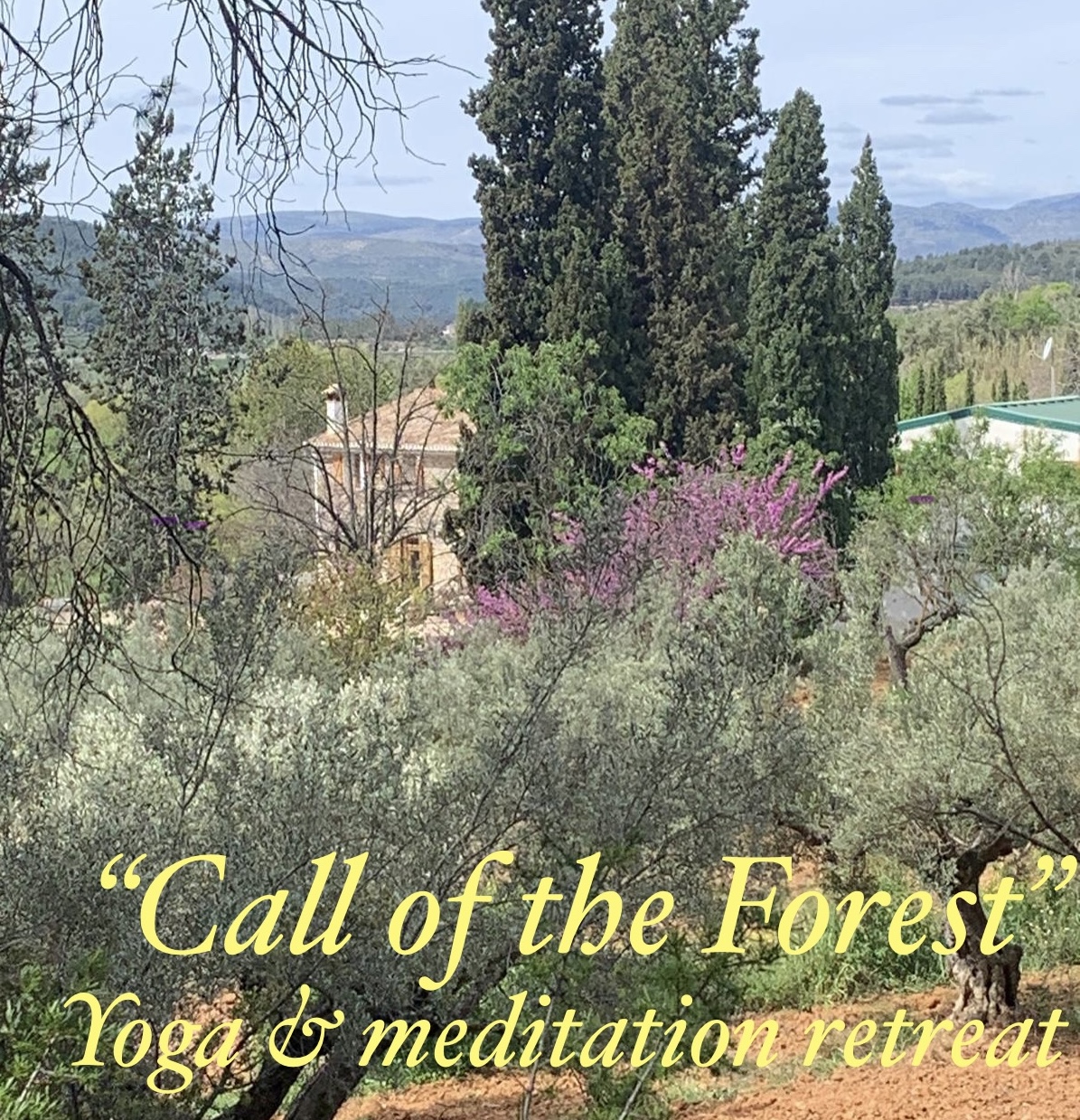Yoga and Meditation retreat “Call of the Forest”with Bodhiyoga