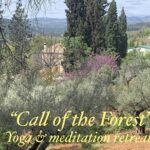 Yoga Retreat - the Call of the Forest