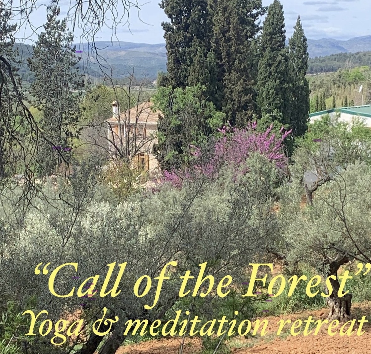 Yoga Retreat - the Call of the Forest